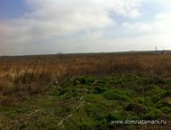 :   .         ,       . 