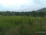   .        ,   ׸    . ,  -   