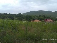 :   .        ,   ׸    . 