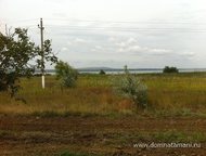   .        ,     . ,  -   