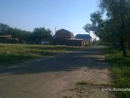 :   .         ,      . 