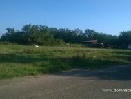 :   .         ,      . 