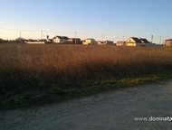 :    .          ,       . 