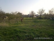 :   .        ,   ׸  4 .    . 