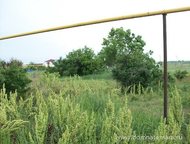 :   .         ,      . 