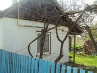 :   .         ,     .