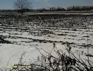   .         ,      ,  -   