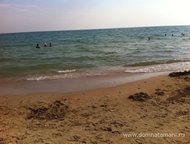 :   .         ,   ׸  500   . 