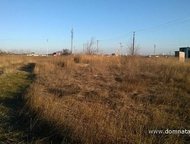 :    .          ,       . 