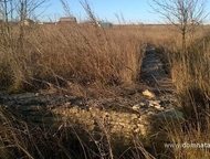 :    .          ,       . 