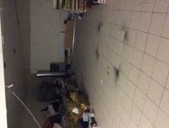   , :     135,7 .  .,  .   , :  ,  -  