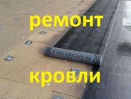    ,            200  20000 . . 
  ,  -   