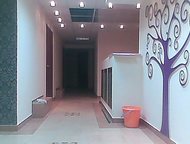    1     1           ,  - ,  ()
