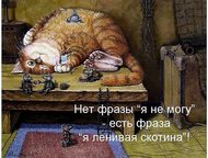  -      57 .  /,  28 . ,  .      ,    ,  - 