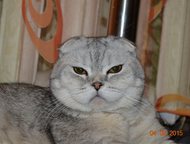              .    ! !,  -    