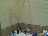 :       :  2-   . ,  ,   1