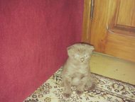 --:       ,      ,      