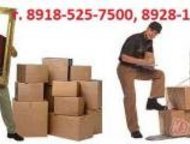         . 8928-121-49-80, 8918- 525-75-00. 
 
  , -- -  ()