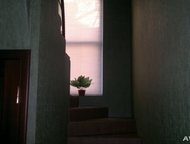 --:  .130.+55.   3 . . ,    ! . ,,2,,.,,