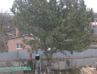 --:  , ,      -3. 2      .  --2,   ,   