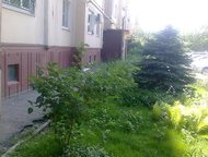 --:  1, ,   1. , 40/18/10.   . . .    (, , -). \ 