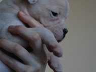 -:          ! 
     (). 
   