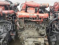  DL08Tis DE08Tis  DL08Tis DE08Tis, - - 