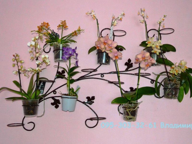 Подставка Для Орхидей