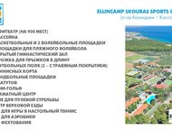   Ellin Camp           ! 
      ,  -    