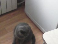  :    ,  1 , 8 . , . 
 