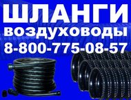   20     -     ,  ,   ,  -  ()