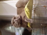      ,  1  4  ,   ,     .  . . ,  ,  -   ()