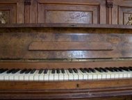      E. F. Gruss.  . ,  - ,  