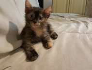     ,    . 
   !   . 
   ! 
  26 ,  -  
