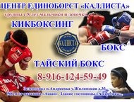 : ,  , ,     2015/2016. 15     . 700 . .    (120